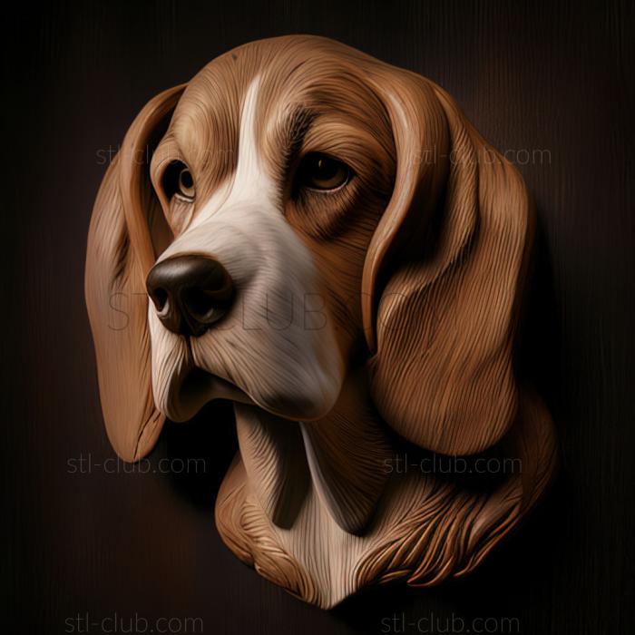 st Beagle dog